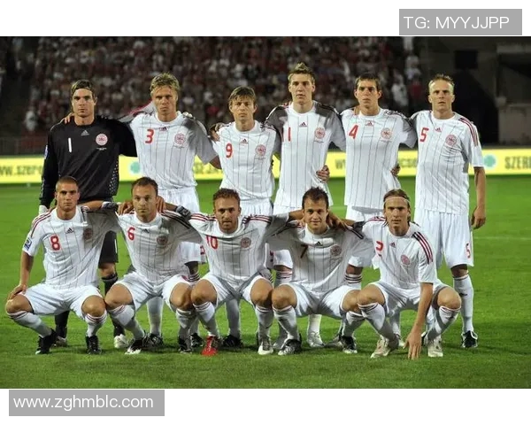 丹麦国家足球队最新球员名单及其表现分析