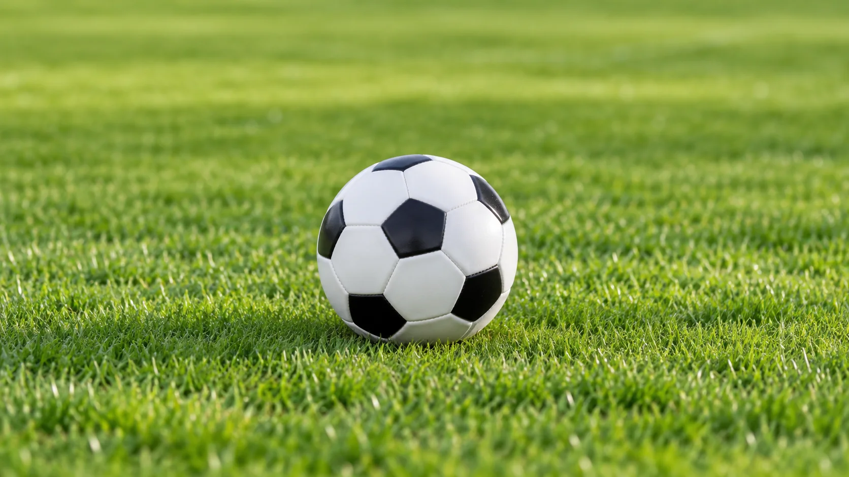 悟空体育官网